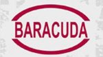 Baracuda