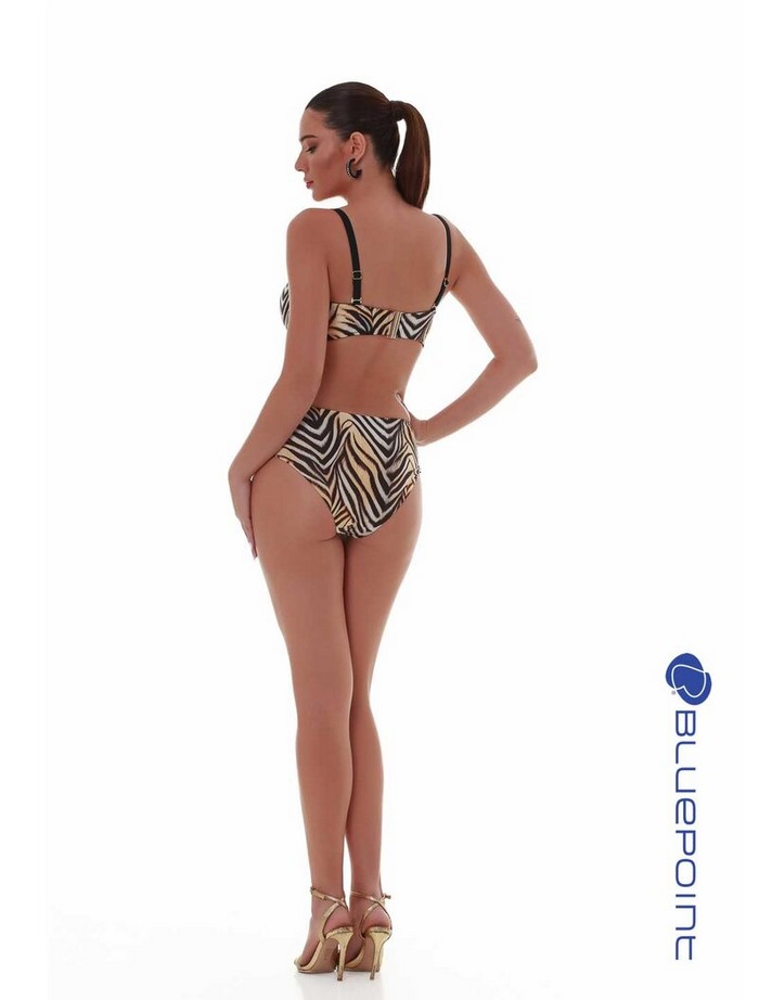 Μαγιό Slip, Bottom